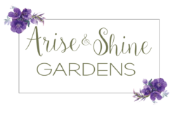 Arise & Shine Gardens